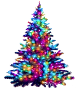 pokok-krismas 15 senarai